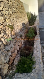 Aiuola Con Muro A Secco Spezie