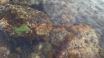 Torre Vado Acqua Limpida - Foto 1