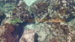 Torre Vado Acqua Limpida - Foto 3