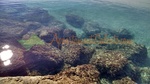 Torre Vado Acqua Limpida_4